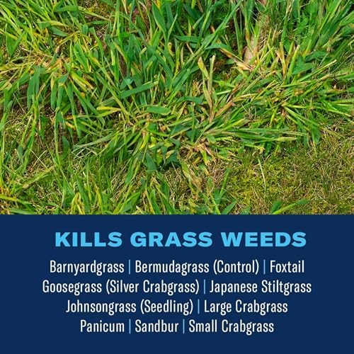 BioAdvanced Extreme Crabgrass Killer, Ready-to-Spray, 32 oz
