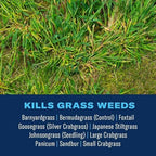 BioAdvanced Extreme Crabgrass Killer, Ready-to-Spray, 32 oz