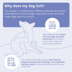 MiconaHex+Triz Wipes, 2.25" round for Dogs, Cats and Horses, 50 count jar