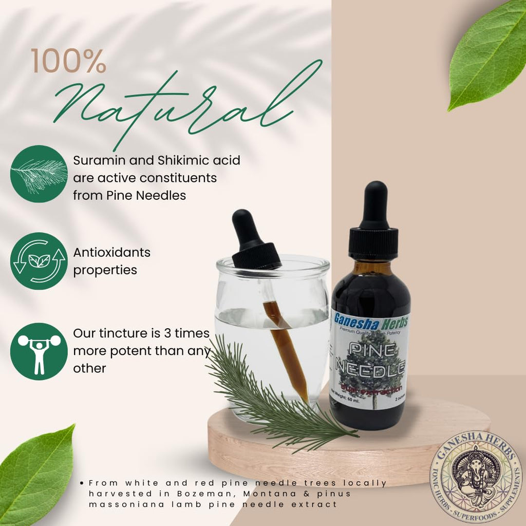 Ganesha Herbs Suramax and Pine Needle Complex Formula Tincture High in Shikimic Acid - Value Pack - 2 Oz (2 Pack)