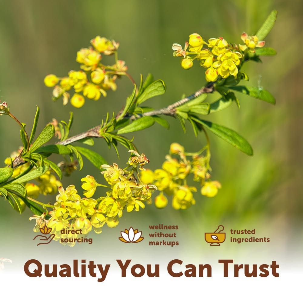 Micro Ingredients Berberine 1000mg with MCT Oil, 120 Softgels | Berberine HCI from Berberis Aristata | Non-GMO, Gluten Free, No Soy