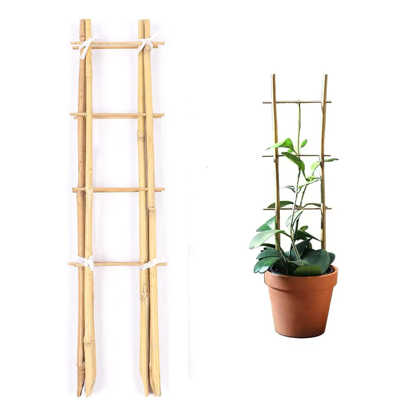 Cambaverd Indoor Plant Trellis, 24in Ladder-Shaped Bamboo Trellis 3 Pack
