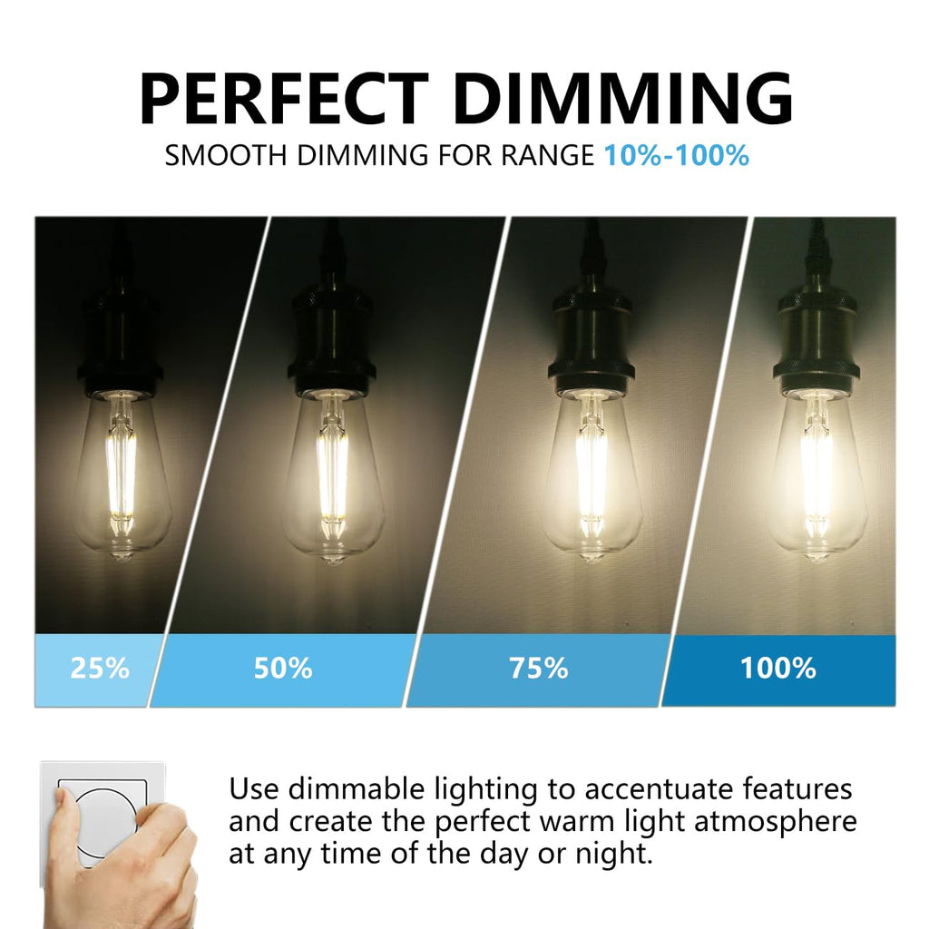 BORT ST58/ST19 Vintage LED Edison Bulbs, 6W Equivalent 60W Filament Light Bulbs, Dimmable 700LM, E26 Base LED Bulbs, Clear Plastic (Daylight White, 12 Pack)