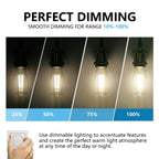 BORT ST58/ST19 Vintage LED Edison Bulbs, 6W Equivalent 60W Filament Light Bulbs, Dimmable 700LM, E26 Base LED Bulbs, Clear Plastic (Daylight White, 12 Pack)