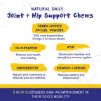 PupGrade Joint Support Supplement for Dogs - Natural Glucosamine Chondroitin with MSM - Supports joint and bone health - For young and senior dogs - 30 Chews