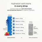 KEY NUTRIENTS Multivitamin Electrolytes Powder No Sugar - Sweet Blue Raspberry Electrolyte Powder - Endurance & Energy Supplement - Hydration Powder - No Calories - 90 Servings - Made in USA