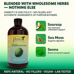 Organic Soursop Bitters Liquid Glass with Moringa and Aloe Vera - Infused with 10+ Herbs - 16 Ounces Vegan Blend