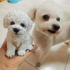PTAHAN Bichon Frise & Maltese Dog Statue Outdoor - Resin Garden Decor for Pet Lovers, 5.9x4.3x6.3 Inch Weatherproof Figurines, Yard Ornament & Gift for Dog Owners