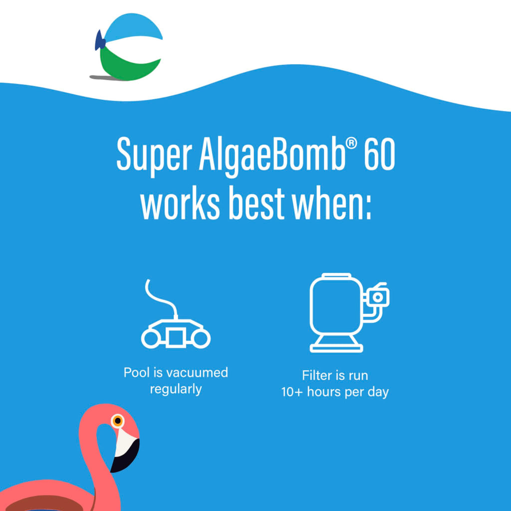 poolife Super Algae Bomb 60 (1 qt) (2 Pack)