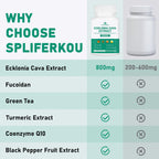 Spliferikou Ecklonia Cava Extract, 800mg, 60 Veggie Capsules with Fucoidan, Green Tea, Turmeric, CoQ10, Dietary Supplement