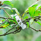 100 Plant Support Clips Reusable Garden Clips, Secured Plastic Plant Clips, Tomato Support Clips for Climbing Plants,Grape and Vine Vegetables Outdoor Indoor Plant Fixing Clips