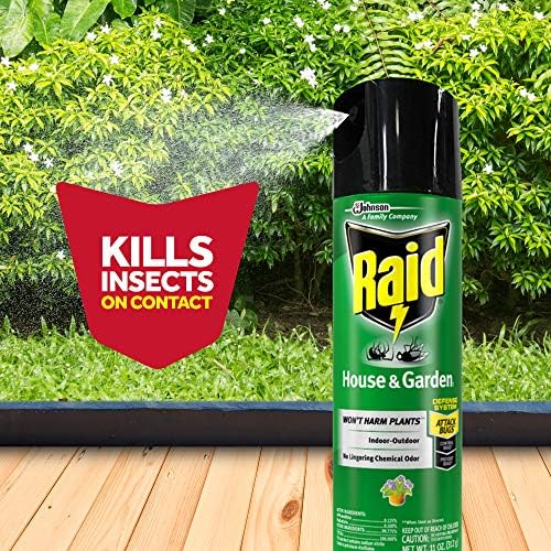 Raid House & Garden Insect Killer Spray, Orange Scent 11 Ounce (Pack of 1)