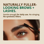 RejuveNaturals Castor Oil (16oz Glass Bottle) USDA Certified Organic, 100% Pure, Cold Pressed, Hexane Free. Boost Hair Growth for Thicker, Fuller Hair, Lashes & Eyebrows.