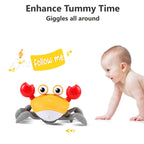 Crawling Crab Baby Toy Gifts: Tummy Time Toys Walking Dancing Cute Essentials Electric Induction Sensory Stuff Moving Babies Crabs with Light Up Music for Toddler Boys Girls Items Interaction Gadgets