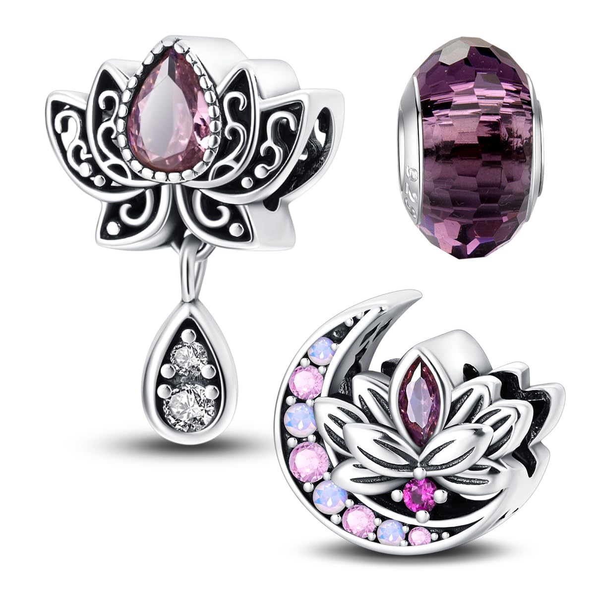 HappyStar 925 Sterling Silver Charms for Bracelets and Necklaces,Combination Dangle Pendants Beads Charms Jewelry Gift for Couples Sisters.（With Spacer Beads）