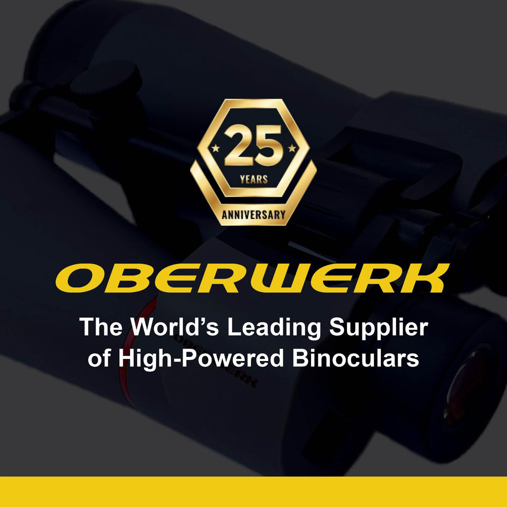 Oberwerk 10x50 Explore Binoculars - Compact & Lightweight Binoculars for Adults | Bird Watching, Hiking, & Outdoor Use | Wide 6.0° FOV | Fully Multi-Coated & Waterproof | Includes Case & Neck Strap