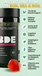 BDE Wildcrafted Sea Moss Gummy Maca Root, Beets, Lions Mane Mushroom, Vitamin D + E - Vegan Collagen, Zinc, Immunity & Detox, Gut Health - 60 Count