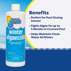 In The Swim Winter Swimming Pool Algaecide - 1 Quart