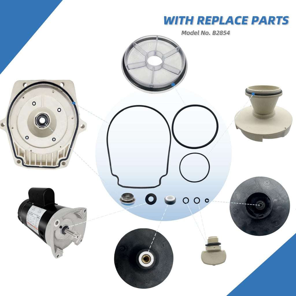 B2854 1-1/2HP, Replaces Century/AO Smith Pool Pump Motors,1.5HP,115/230V, 3450 RPM, 8.0/16.0Amps, 56Y Frame 1.1Service Factor,PSC,F56AA40A01,Include Replace Parts, Square Flange ODP Enclosure Leungoo