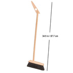 Redecker 180690 Stand Dust Pan Set, Beech Wood Horsehair