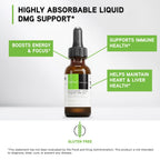 DAVINCI Labs Gluconic DMG Liquid 300mg - Helps Support Immune System, Muscle Function, Heart Health & Brain Health* - 2 fl oz (60 Servings)