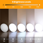LASTAR Sun Lamp, 10,000 Lux Sunlight Lamp with 4 Color Temperatures & 5 Brightness & 1H Timer, Touch Control Daylight Lamp with Memory Function for Home