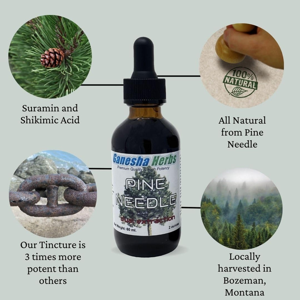 Ganesha Herbs Suramax and Pine Needle Complex Formula Tincture High in Shikimic Acid - Value Pack - 2 Oz (2 Pack)