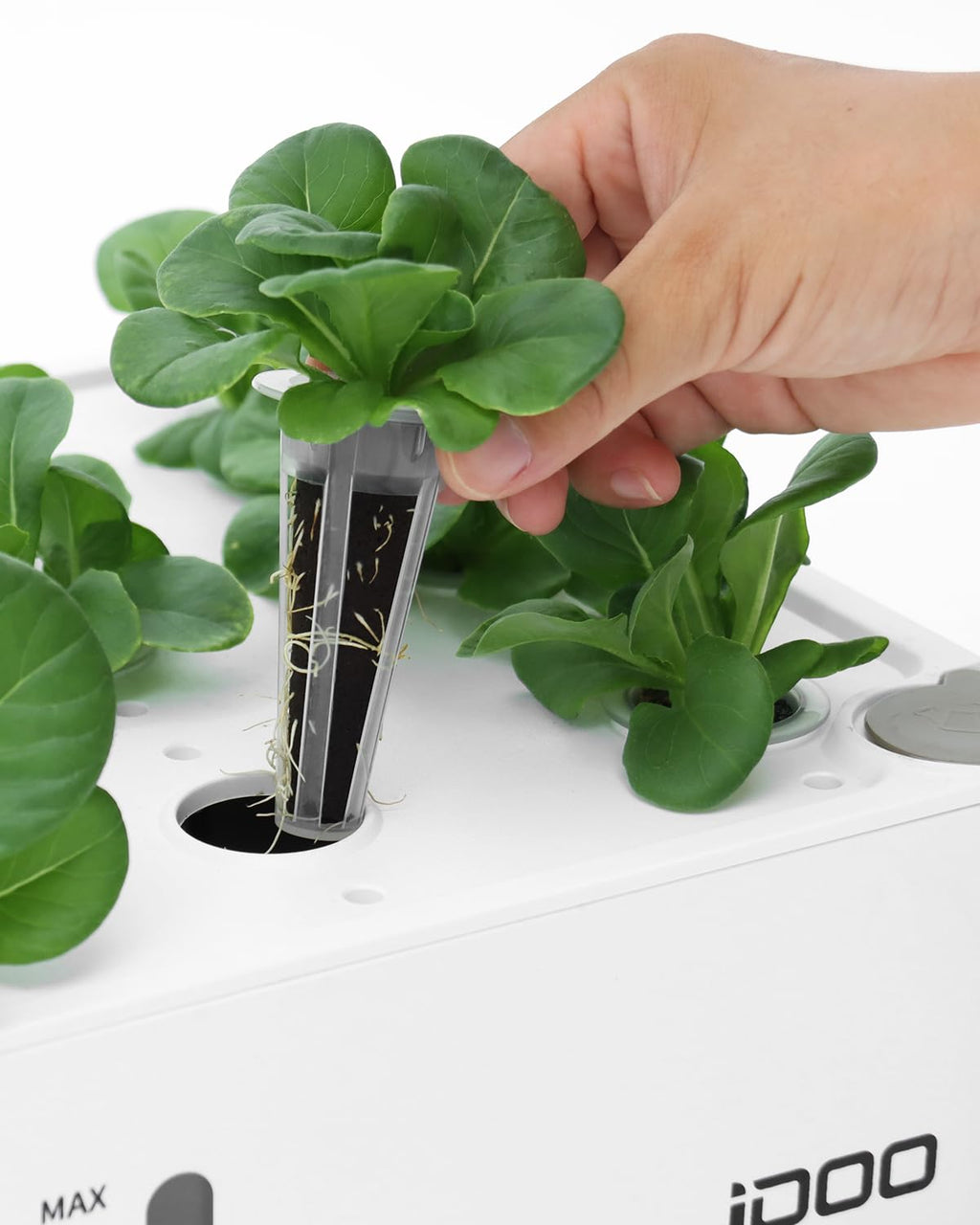 iDOO Seed Pods kit for Hydroponics System, with 12 Growth Sponges, 12 Grow Baskets, 12 Pod Labels, 12 Grow Domes, 2 Plant Food, Compatible with All Brands of Hydroponics Supplies