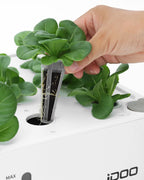 iDOO Seed Pods kit for Hydroponics System, with 12 Growth Sponges, 12 Grow Baskets, 12 Pod Labels, 12 Grow Domes, 2 Plant Food, Compatible with All Brands of Hydroponics Supplies