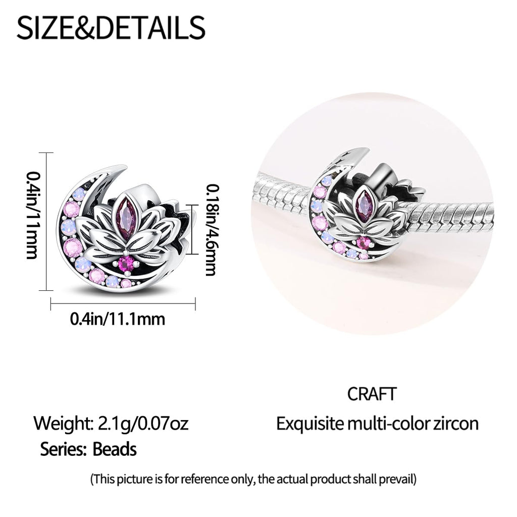 HappyStar 925 Sterling Silver Charms for Bracelets and Necklaces,Combination Dangle Pendants Beads Charms Jewelry Gift for Couples Sisters.（With Spacer Beads）