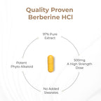 Sandhu's Berberine HCL Supplement 500mg per capsule with 97% Pure Berberis Aristata Extract| 60 count| Supports Weight Management & Healthy Energy levels| Made in USA, Vegetarian, Non-GMO, Gluten Free