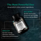 Better Alt Shilajit Sea Moss Capsules Pack of 2 with Ashwagandha & Black Pepper Extract with 85+ Essential Minerals & Antioxidants| Boosts Energy & Metabolism - 120 Servings, 240 Capsules