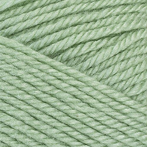 Red Heart Soft Baby Steps Baby Green E746-9620 (3-Skeins - Same Dye Lot) Worsted Medium #4 Acrylic Yarn for Crocheting and Knitting with Project Bag
