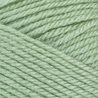 Red Heart Soft Baby Steps Baby Green E746-9620 (3-Skeins - Same Dye Lot) Worsted Medium #4 Acrylic Yarn for Crocheting and Knitting with Project Bag