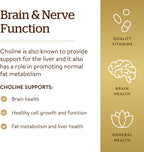 Solgar Choline 350 mg, 100 Vegetable Capsules - Supports Healthy Brain & Cellular Function - Vegan, Gluten Free, Dairy Free, Kosher - 100 Servings,(Pack of 2)