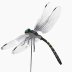 SXXSMYWR 2026 New Dragon Fly Clips for Bugs Repellent, 3D Artificial Dragonfly Hat Clip, Dragonfly Garden Decor (10PCS) (10, Black)