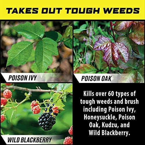 Ortho GroundClear Poison Ivy & Tough Brush Killer1, Concentrate, 32 fl. oz.