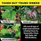 Ortho GroundClear Poison Ivy & Tough Brush Killer1, Concentrate, 32 fl. oz.