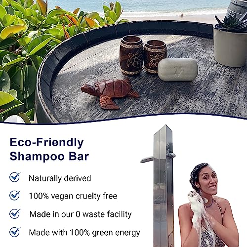 Shampoo Bar for thin hair with Argan Oil & Kiwi, Gentle foam, Natural, Green, SLS free, Sulfate Free, Soap-Free, Zero Waste, Vegan, 3.53 Oz