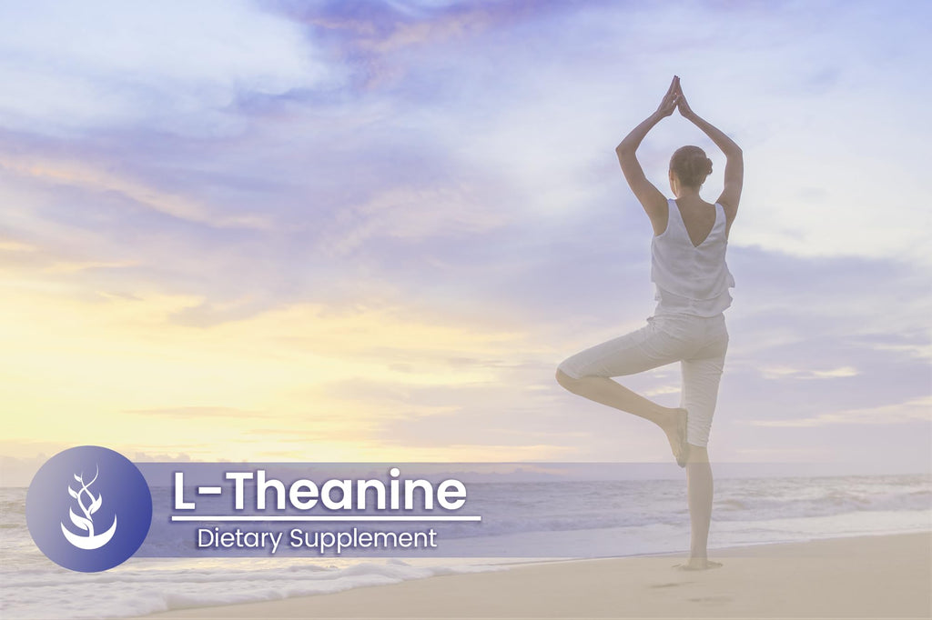 Pure Original Ingredients L-Theanine, (100 Capsules) Always Pure, No Additives or Fillers, Lab Verified
