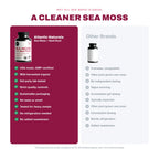 Atlantic Naturals Sea Moss with Beet Root Capsules - Premium Quality Multivitamin Supplement - Sea Moss Superfood to Support Immune Health, Blood Flow, Joint Health & Athletic Performance - 120 ct