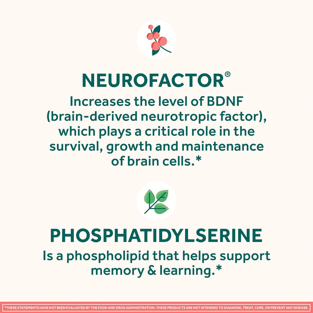 NEURIVA Original Brain Supplement for Memory, Focus & Concentration + Learning & Accuracy with Clinically Tested Nootropics Phosphatidylserine and Neurofactor, Caffeine Free, 30 Capsules (6 Pack)