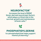 NEURIVA Original Brain Supplement for Memory, Focus & Concentration + Learning & Accuracy with Clinically Tested Nootropics Phosphatidylserine and Neurofactor, Caffeine Free, 30 Capsules (6 Pack)