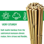 Mininfa Natural Bamboo Stakes 4 Feet, Eco-Friendly Garden Stakes, Plant Stakes Supports Climbing for Tomatoes, Trees, Beans, 25 Pack