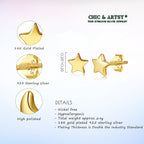 CHIC & ARTSY Star Earrings 925 Sterling Silver Stud Earrings Small 18K Gold Plated Silver Star Stud Earrings for Women 6mm