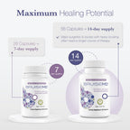 BruiseMD Bromelain 500mg 2,400GDU/g Supplement with Zinc and Vitamin C for Swelling, Inflammation, and Discoloration, Easy to Swallow Capsules (14-Day Supply) - Advanced Formula