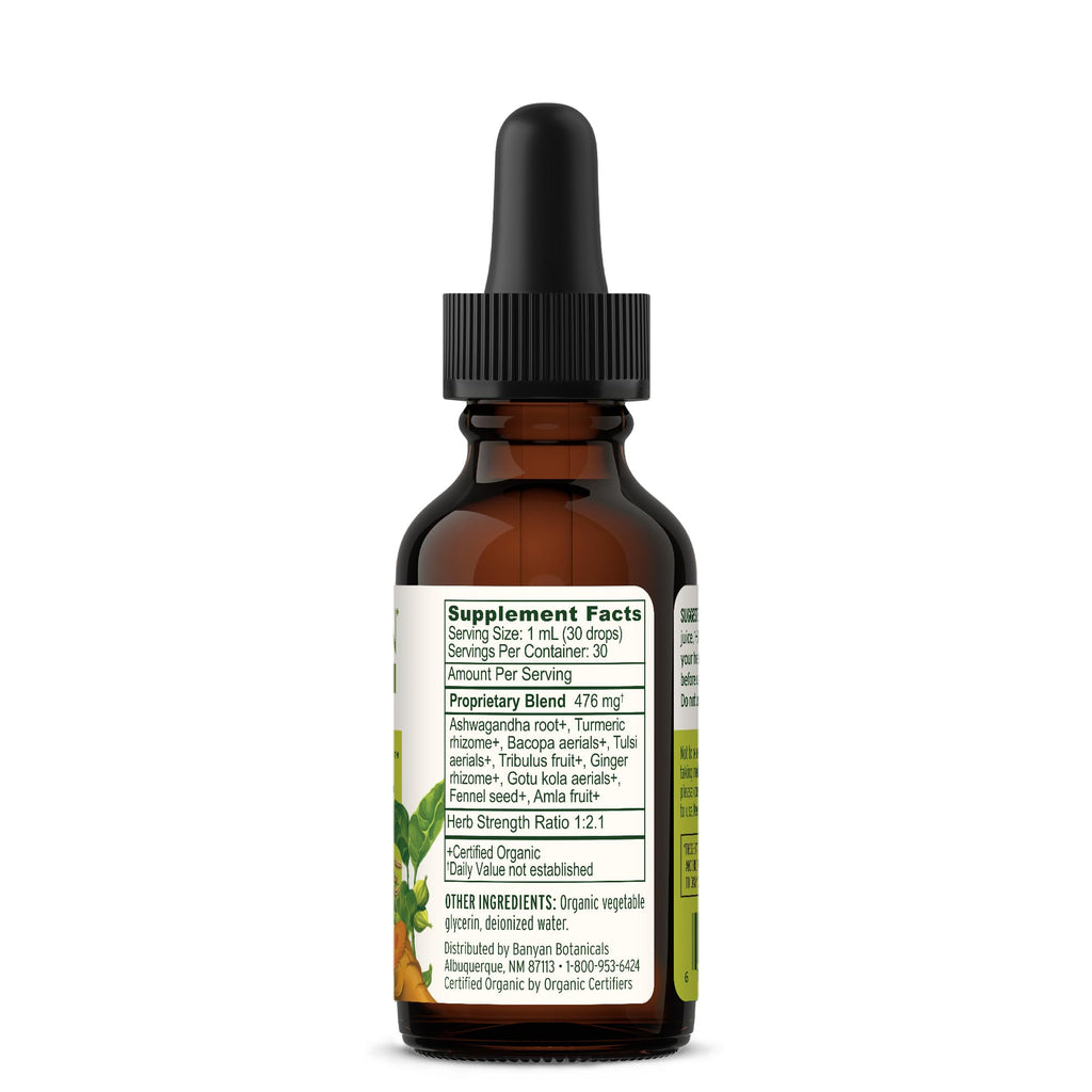 Banyan Botanicals I Travel Well Liquid Extract – Organic Fast-Acting Immune Support for Travel – with Ashwagandha and Ginger – 1 fl. oz. – Non GMO Sustainably Sourced Vegan