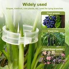 100 PCS Secured Plastic Plant Clip, Plant Support Clips, Garden Clips for Climbing Plants, Plastic Trellis Clips Plant Support Clips Tomato Grape Vine Vegetables Plant Fixing Clips (100, Green)