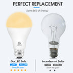 ENERGETIC SMARTER LIGHTING A21 LED Bulbs 150 Watt Equivalent LED Light Bulb, Soft White 2700K, 2600 High Lumens Super Bright Light Bulb, E26 Base, Non Dimmable, UL Listed, 2 Pack