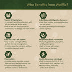 Premium Dried Wolffia globosa Superfood | Low Carb, High Protein 40% | Rich in Minerals, Vitamins A E B12 & Essential Amino Acids | The Future of Sustainable Plant-Based Nutrition 2.11 oz (60g)